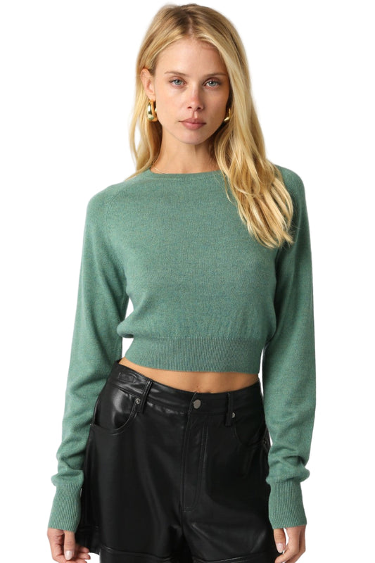 Luz Cropped Knit Top in Basil