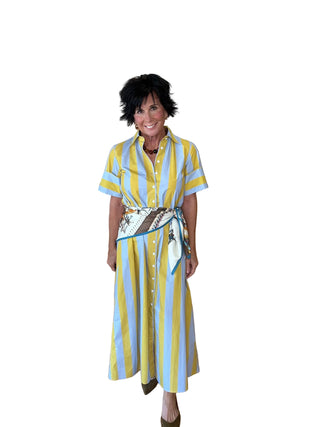 Greek Scene Scarf