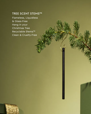 Glasshouse Tree Scent Stems, Winter Wonderland