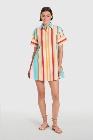 Dock Dress in Amberline Stripes - The South Apparel