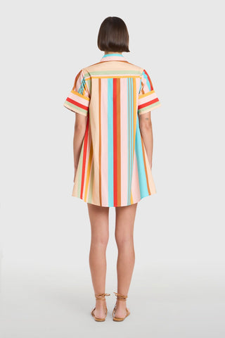 Dock Dress in Amberline Stripes - The South Apparel