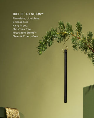 Glasshouse Tree Scent Stems, Winter Wonderland - The South Apparel