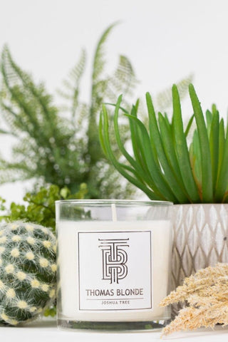 Thomas Blonde 12oz Candle - The South Apparel